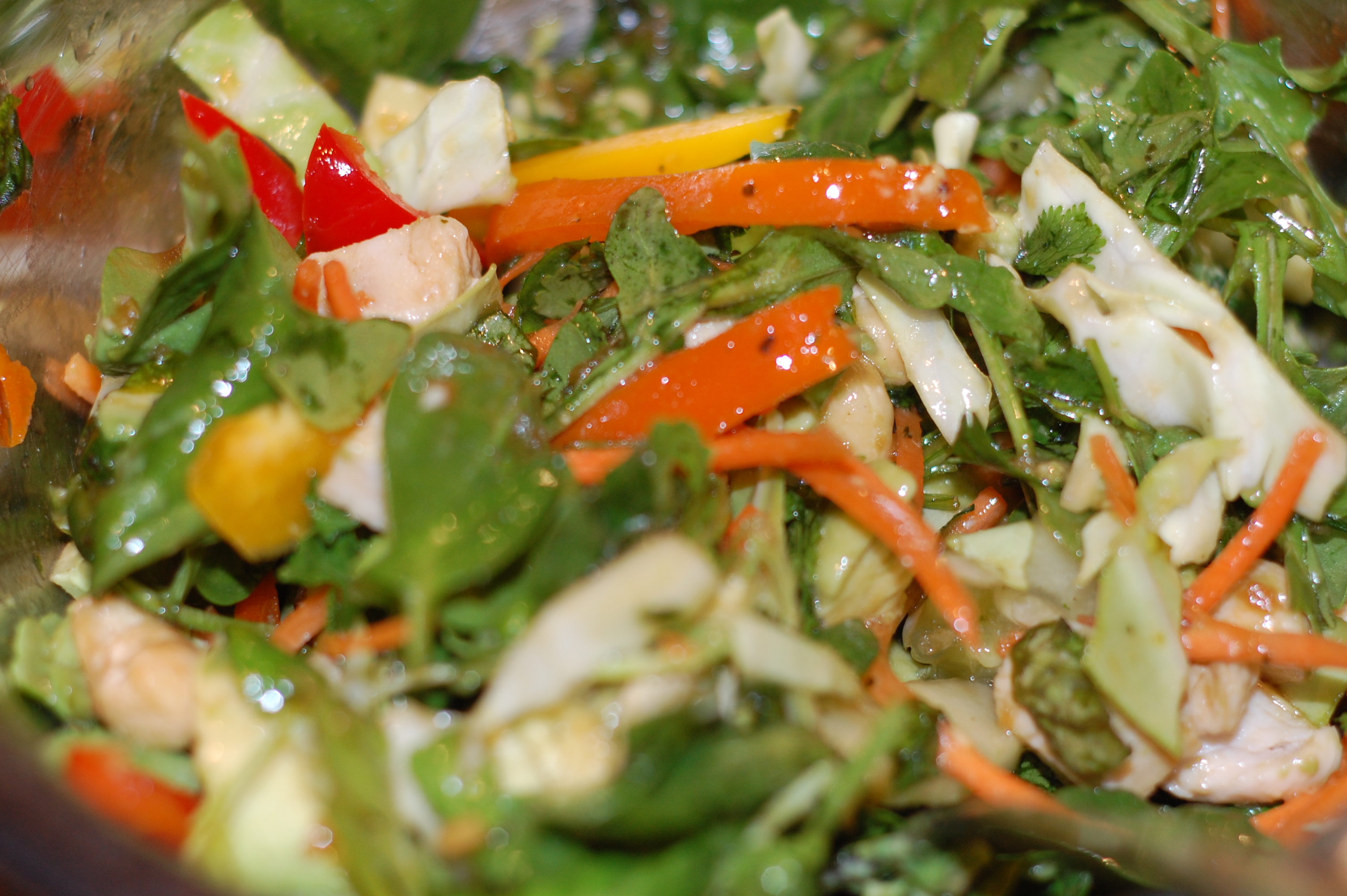 Southeast Asian Salad | Mommy Bistro